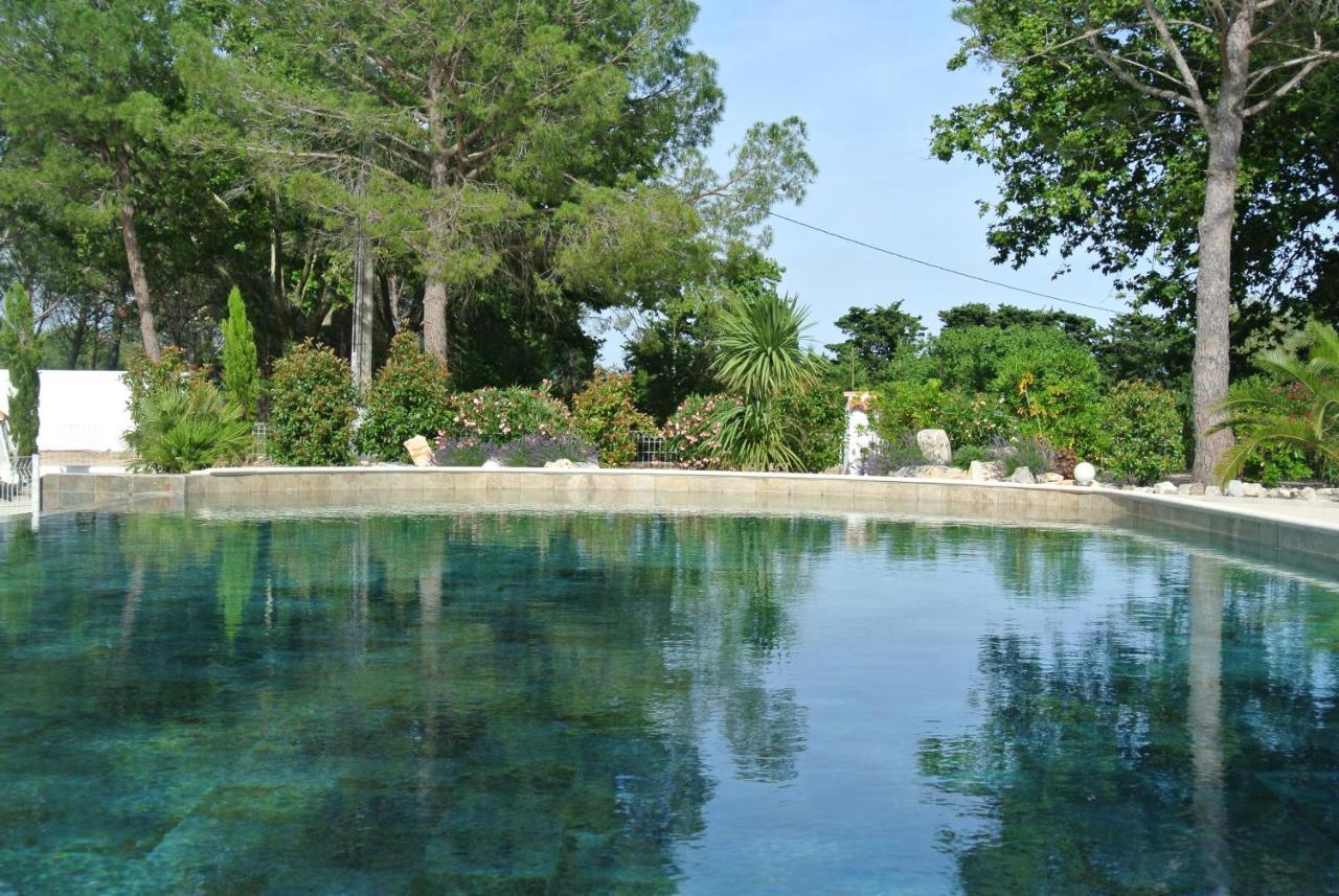 Grand Tamaris Hosting Bed & Breakfast Arles Dış mekan fotoğraf